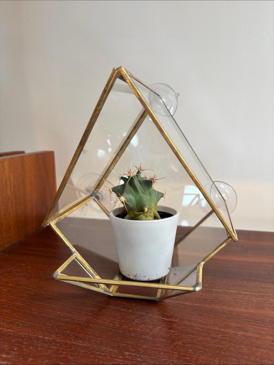 Source Unknown Other - Gold and Clear Glass Geometric Hanging Planter or Bird Feeder